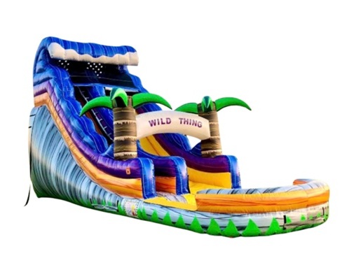 19 Foot Wild Thing Slide