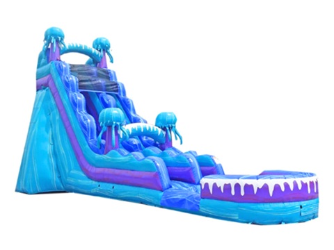 20 Foot Electric Slide