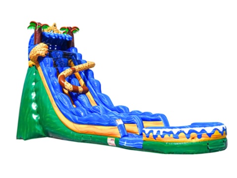 20 Foot Wildcat Slide