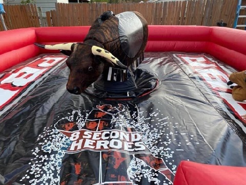 Mechanical Bull
